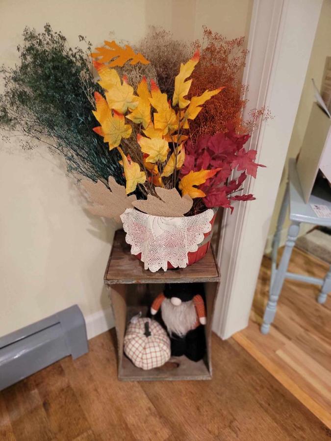 Moonlight Manor Bed & Breakfast Floyd エクステリア 写真